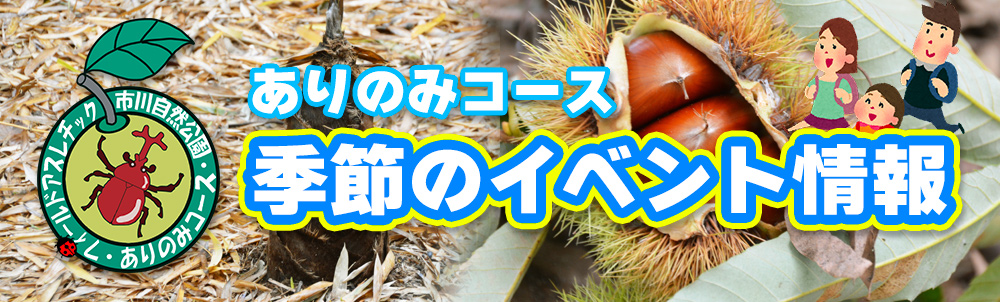 季節のイベント情報
