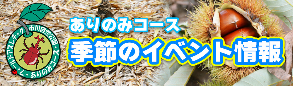 季節のイベント情報