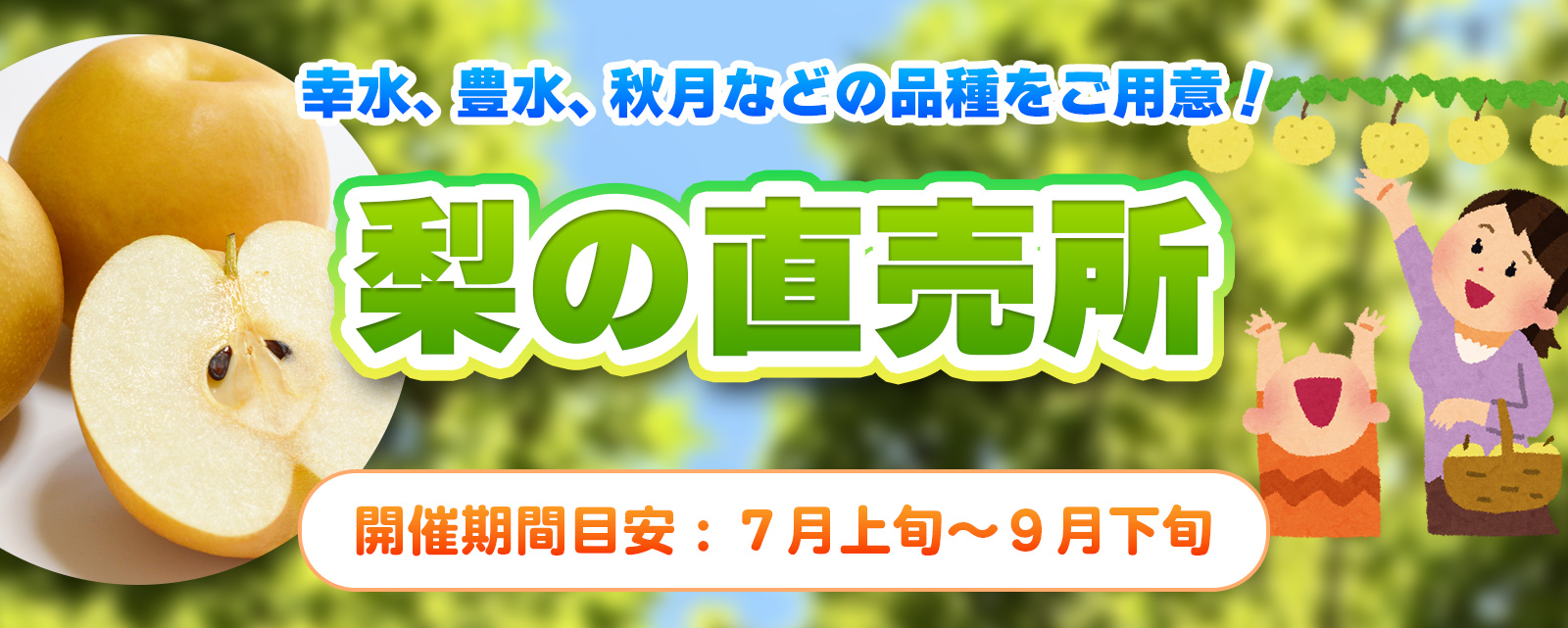 梨の直売所